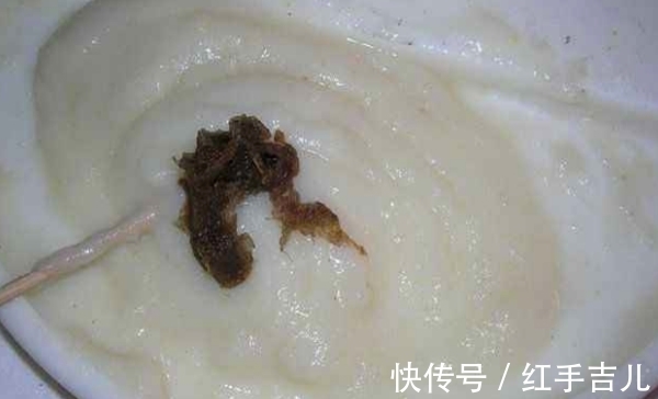 蚯蚓|冬季钓鲫鱼,这些黑坑中被“禁用”的饵料,用来野钓鲫鱼有奇效!