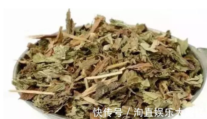 肠炎者|自己“晒干”的蒲公英，能当茶泡水喝吗有什么“禁忌”吗