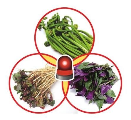 蕨菜、鱼腥草、血皮菜三种野菜小心吃