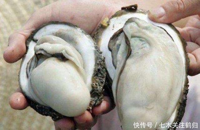 叫生|明明长得一样,为什么一个叫生蚝,一个叫牡蛎
