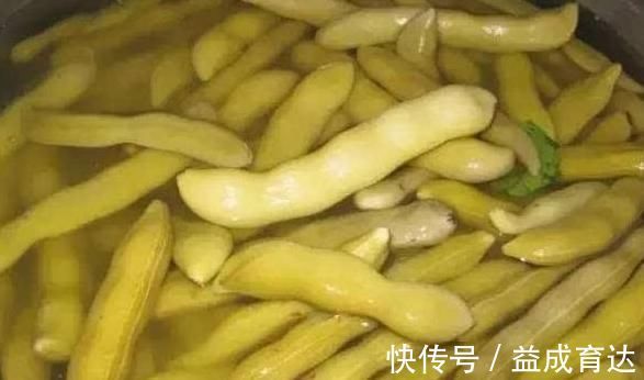 护腰|农村一野菜,是“护腰圣手”,治腰脊酸痛,清热凉血,了解下