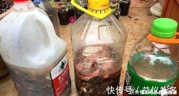 黄豆花生|偷偷告诉你，养花“高手”都用“这种”肥，不花钱，养啥花都旺！