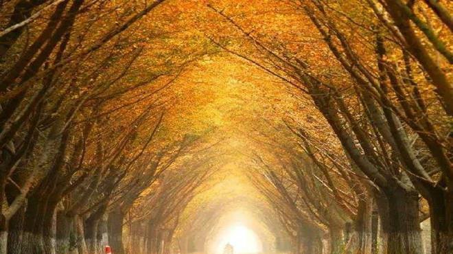 张爱玲:我爱你是我的事,与你无关紧要