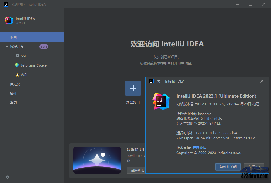 IntelliJ IDEA 2023.2.0 IDEA2023中文激活版