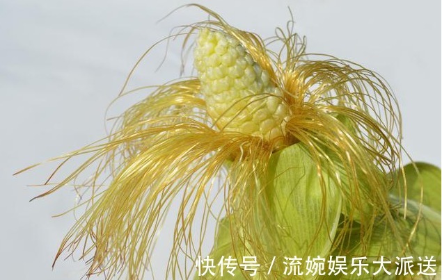 三种人|5岁小男孩,浑身起红疹,提醒蒲公英虽好,三种人要慎用