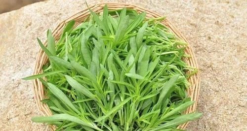 瘙痒|皮肤瘙痒难忍,中医上的一个方子,只需2味药,就能从根治愈