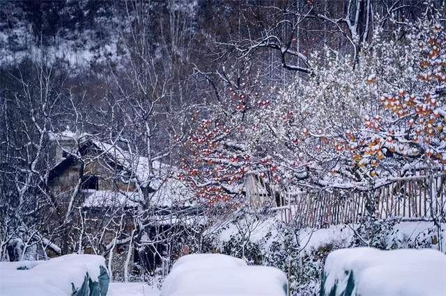 仙境|雪后的里口山，美成了仙境？