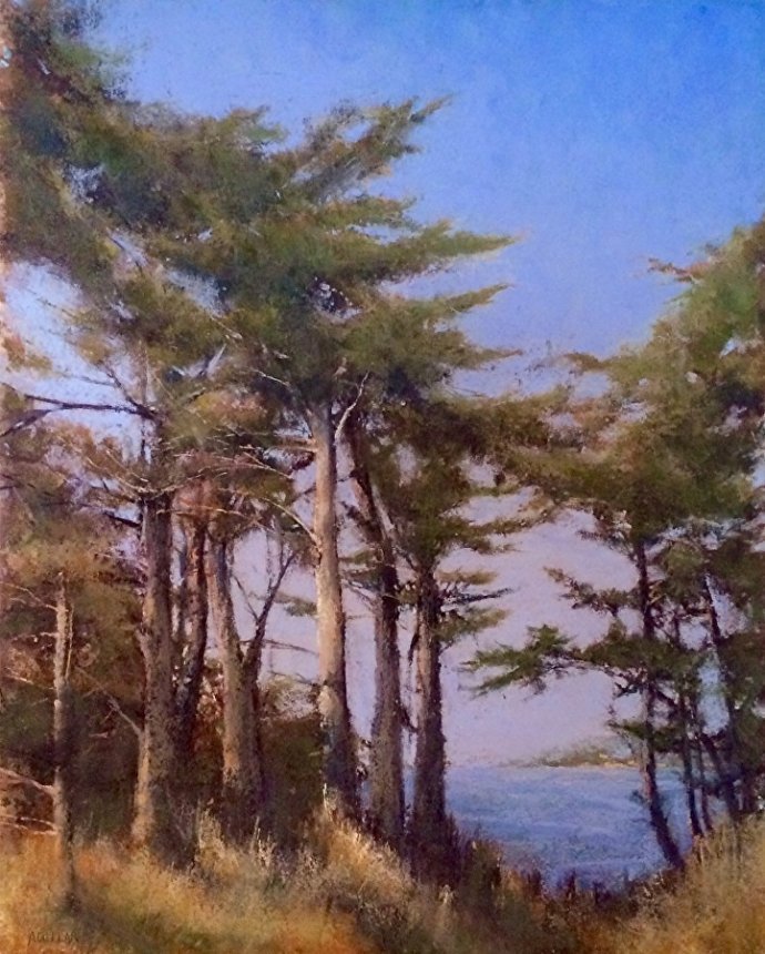 阿奎尔$美国艺术家阿奎尔柔和的风景油画,画里充满了阳光温馨美好(二)