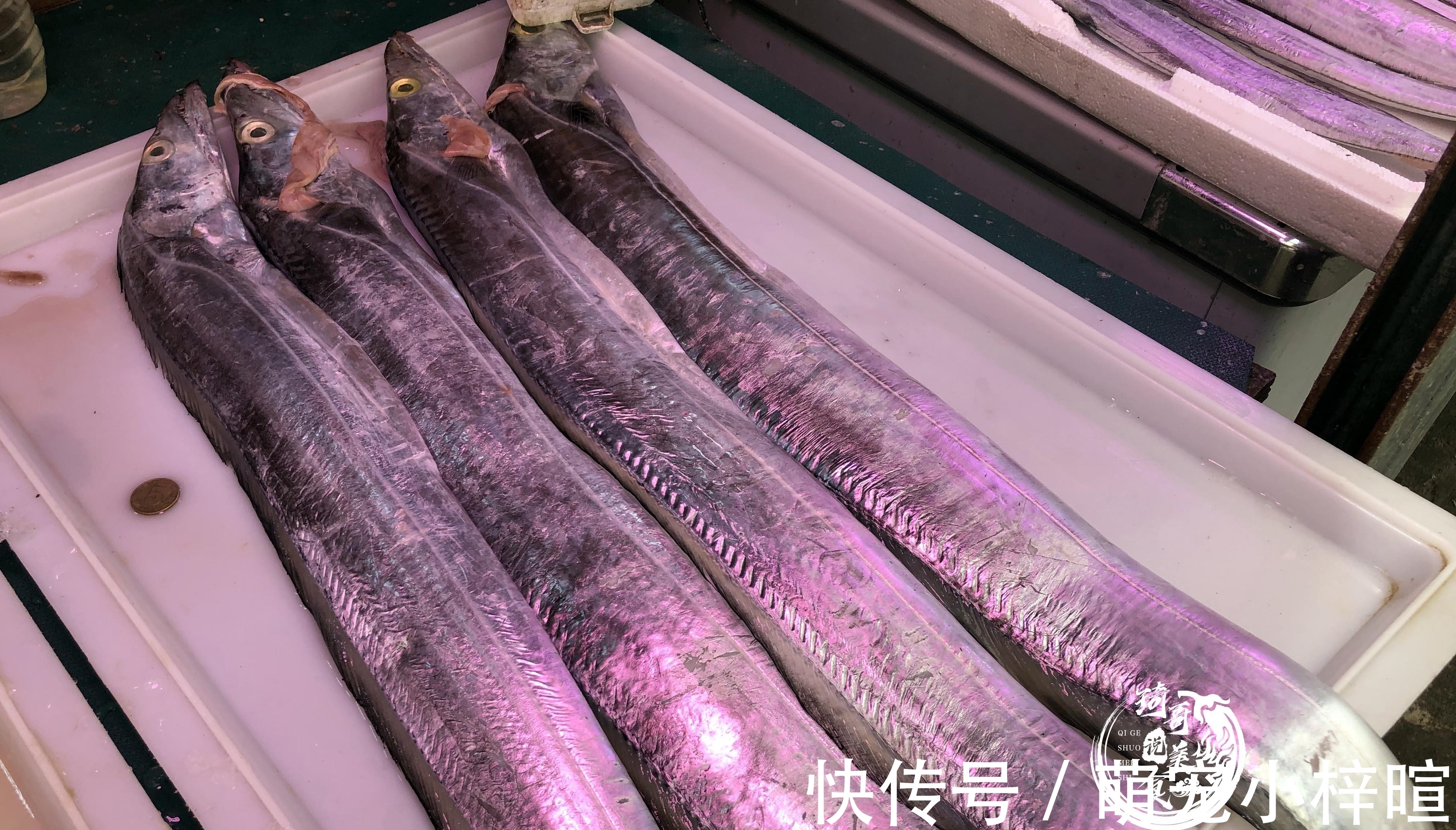 去市场买鱼,这5种鱼放心买,纯野生的,人工没法养,便宜还美味