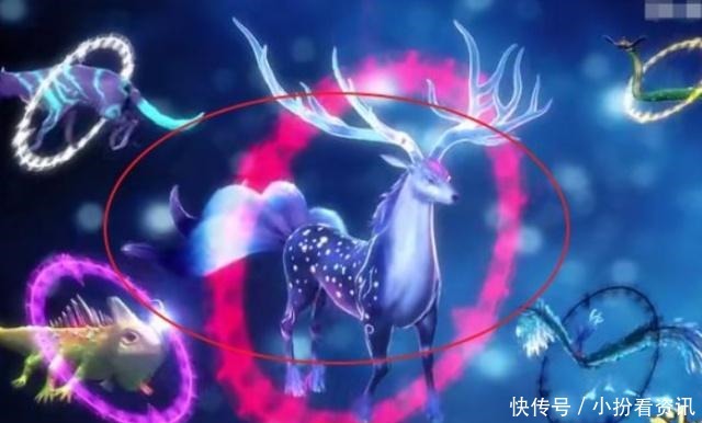 金魂|首位产生“金魂环”的魂兽，修为高达百万年，附加技能武魂殿眼红