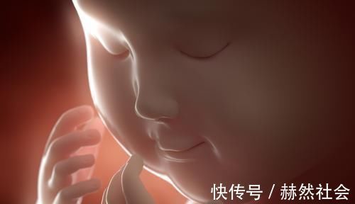 孕期|孕期有这种体验感,可能是胎儿“智商高”的信号,妈妈偷着乐吧
