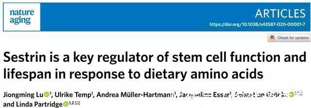 n“吃得少一点,活得久一点”,这种说法到底靠不靠谱?研究发表了
