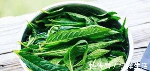 美容养生|爱美女性多吃3种食物，美容养生、滋润肌肤，身体棒棒哒！