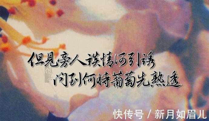 悲悯#愿你我的日历上,页页都写着,宜温暖,宜微笑,宜值得,宜安然