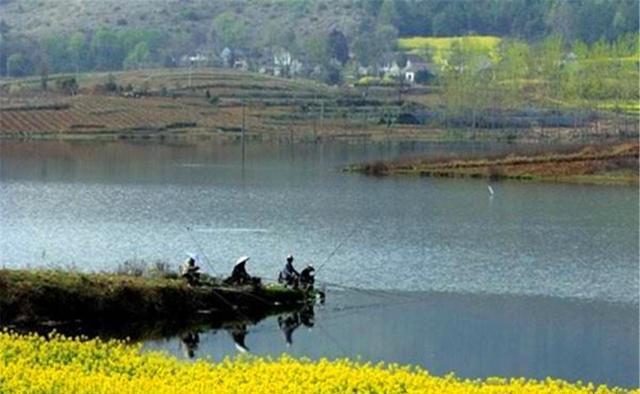 春季钓鲫鱼,钓场先小后大,渔获先大后小,节奏不能乱,有规律