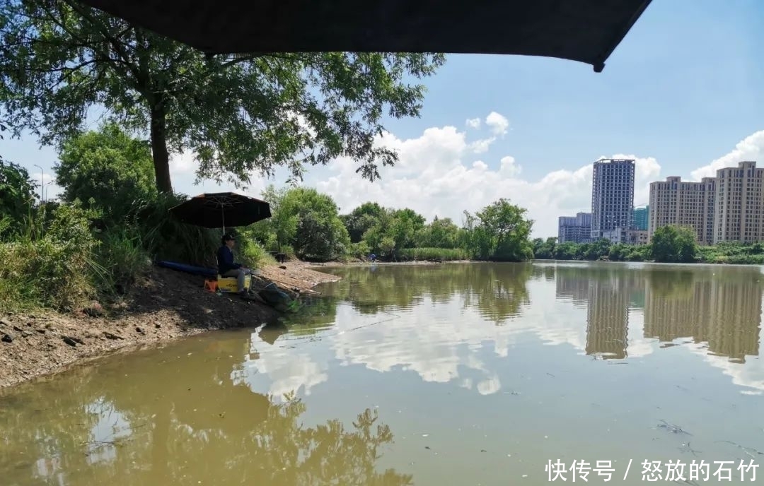 鲤鱼|夏季野钓别老盯着深水！这几个地方也藏大鱼，我替你们试过了