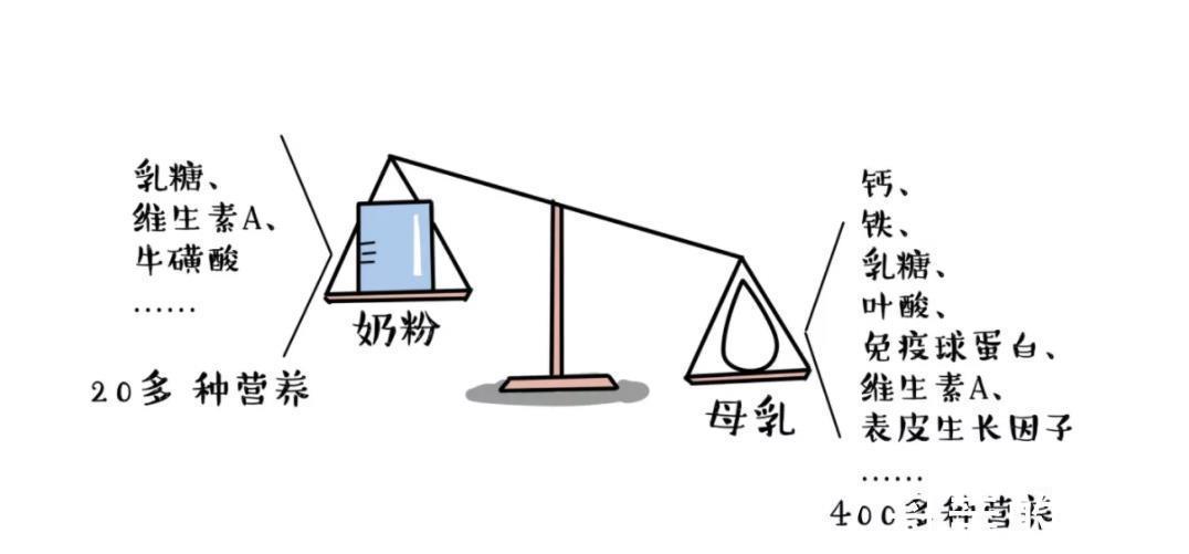 母乳|母乳到底有多神奇?看完你就知道,为什么鼓励喂到两岁以上