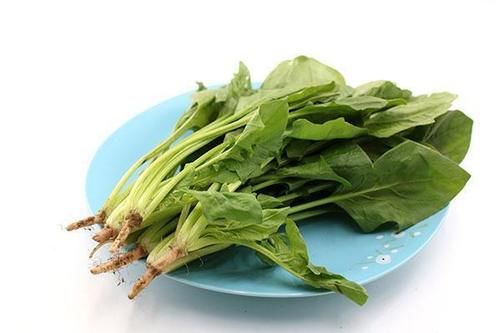 虾皮是“补钙神器”?医生:别盲目补,真正补钙的食物已为你列出