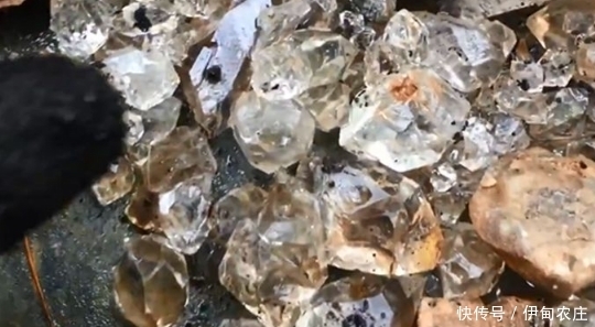 山上|山上砸下的石头,没想到却是个宝贝