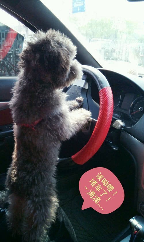 |搞笑GIF趣图:再也不敢在宿舍睡懒觉了,室友们太疯狂