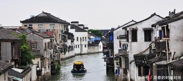 吃货们,看看什么才叫资深的美食家