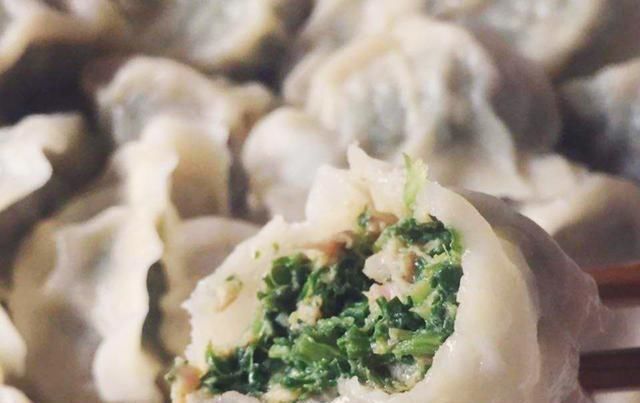 堇菜|人称“地黄瓜”,用来包饺子是极品,营养很高,春季错过太可惜