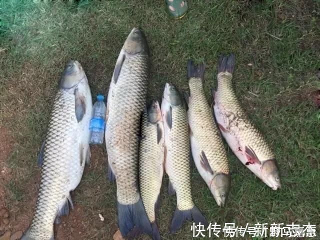 误差|夏季大鱼难给口，错了因为调钓的灵钝，在一开始就有了误差