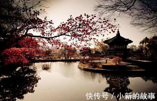 疏狂&疏又何妨,狂又何妨,疏狂之中情意长,这首词值得一读