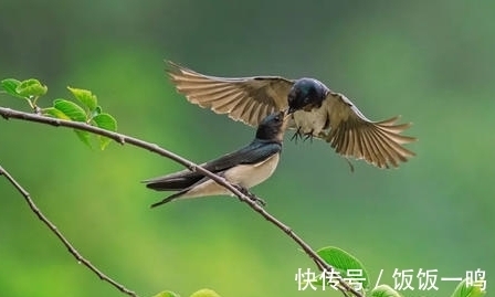 义山#李商隐的一首无题诗,构思精妙,情味弥深,曲传不遇之感