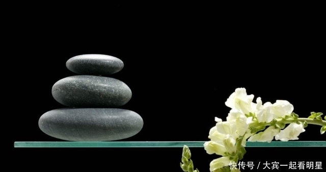 王安石|张世敏:张载与王安石变法之比较(中)