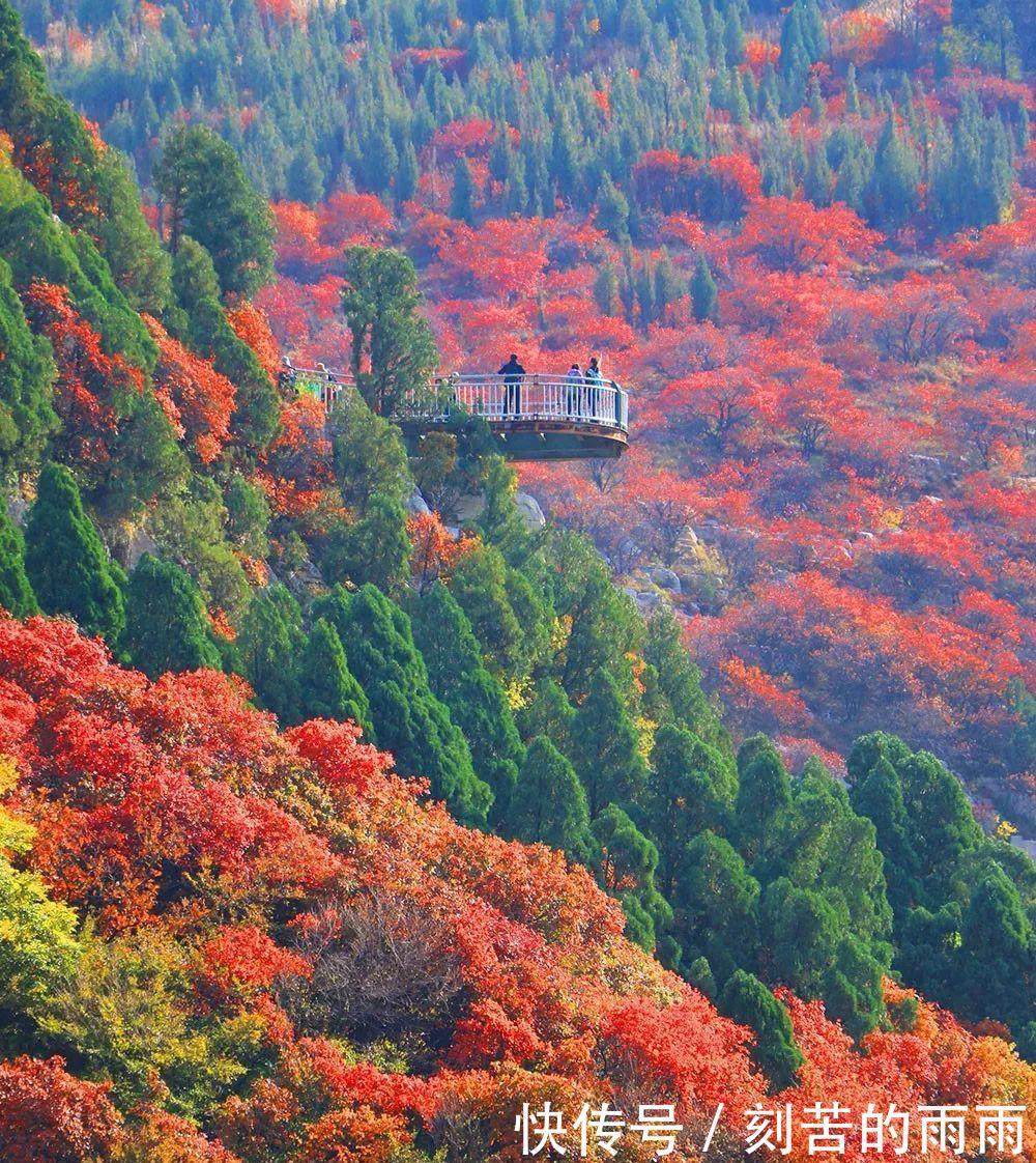 这是不是神仙居住的地方实在是太美了！