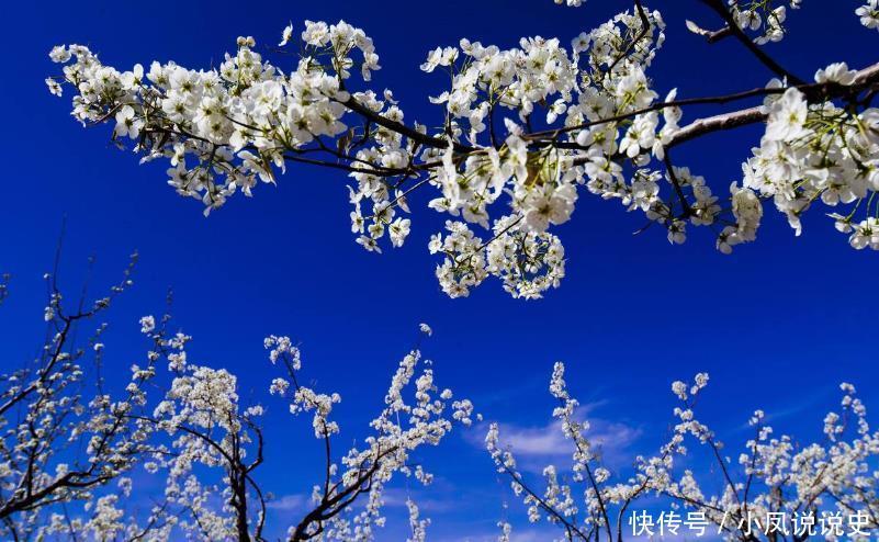 纸短情长|晏殊失恋后学情圣李商隐写诗,开篇就令人心醉,纸短情长令人动容