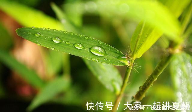 台州电视台|成功抗癌30年,病痛的磨难,失去的丈夫的伤痛,她是如何挺来的