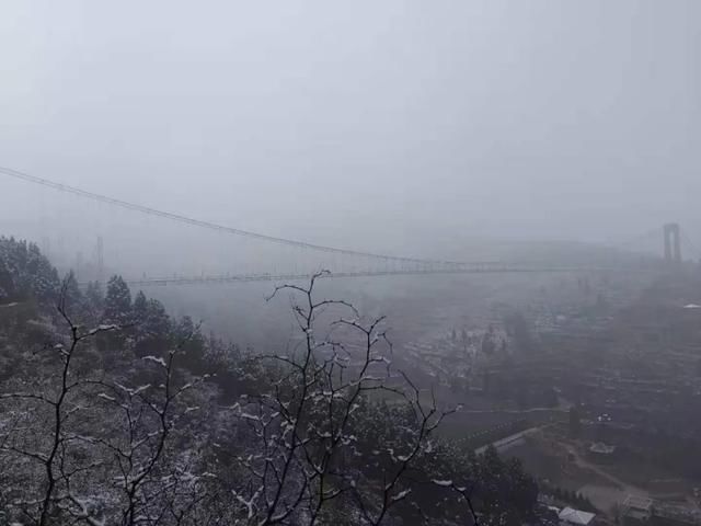 进来|大石崮森林公园喜提今冬初雪！点进来看雪景美图