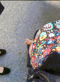 |搞笑GIF段子:裙子不错,恰到好处