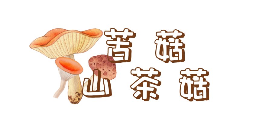 野生菌菇|野生菌菇没吃够，这样储存吃一年！