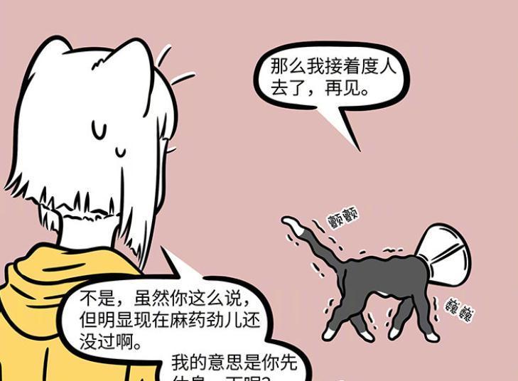 分身|非人哉:九月带着徐哼唧打疫苗,观音再度化身为猫,已被绝育