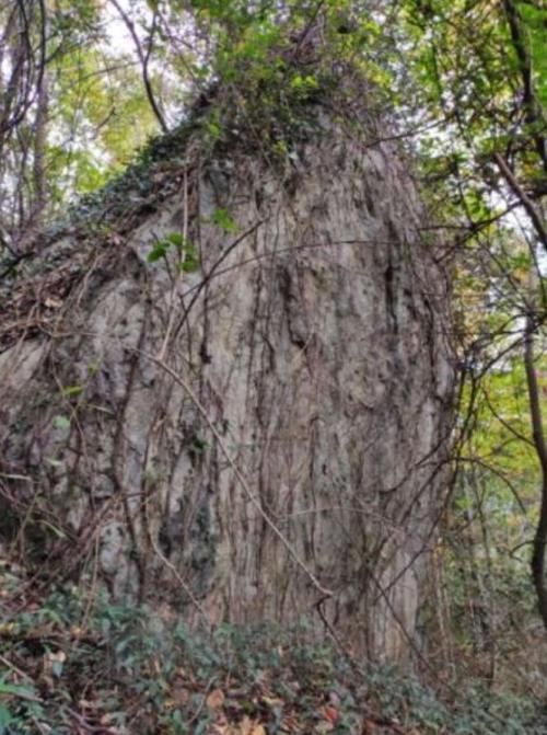 寻访岙底陈千年石笋|千岛文史| 寻访