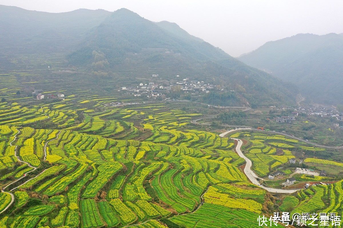 千年梯田花海，美得震撼，免费欣赏