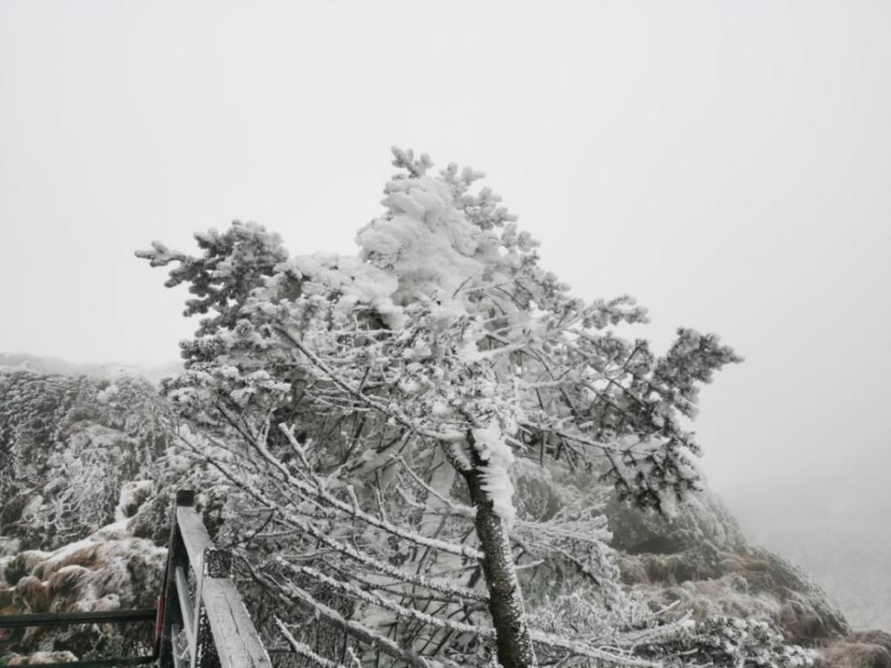 来，跟上节奏！一起认识这里的“三大冰瀑”！