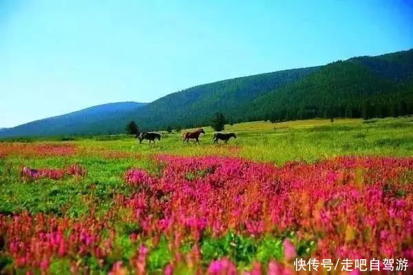 天山脚下的边陲小城，名气虽不及伊犁，但风景美如画