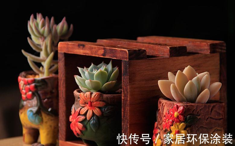 童话里走出来的多肉，就是你的王子，你细细体会