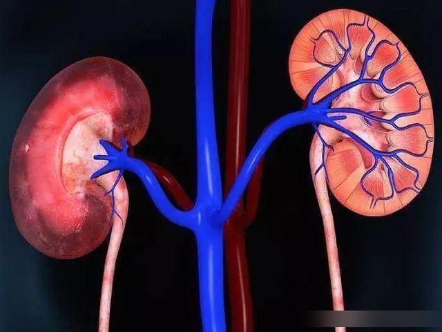 糖尿病患者|糖尿病者，一旦手脚有四种变化，并发症来了，再拖下去就是肾衰竭