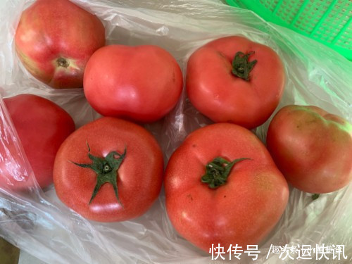 买西红柿别只会选红的,挑“母”的更沙甜多汁,让你一挑一个准