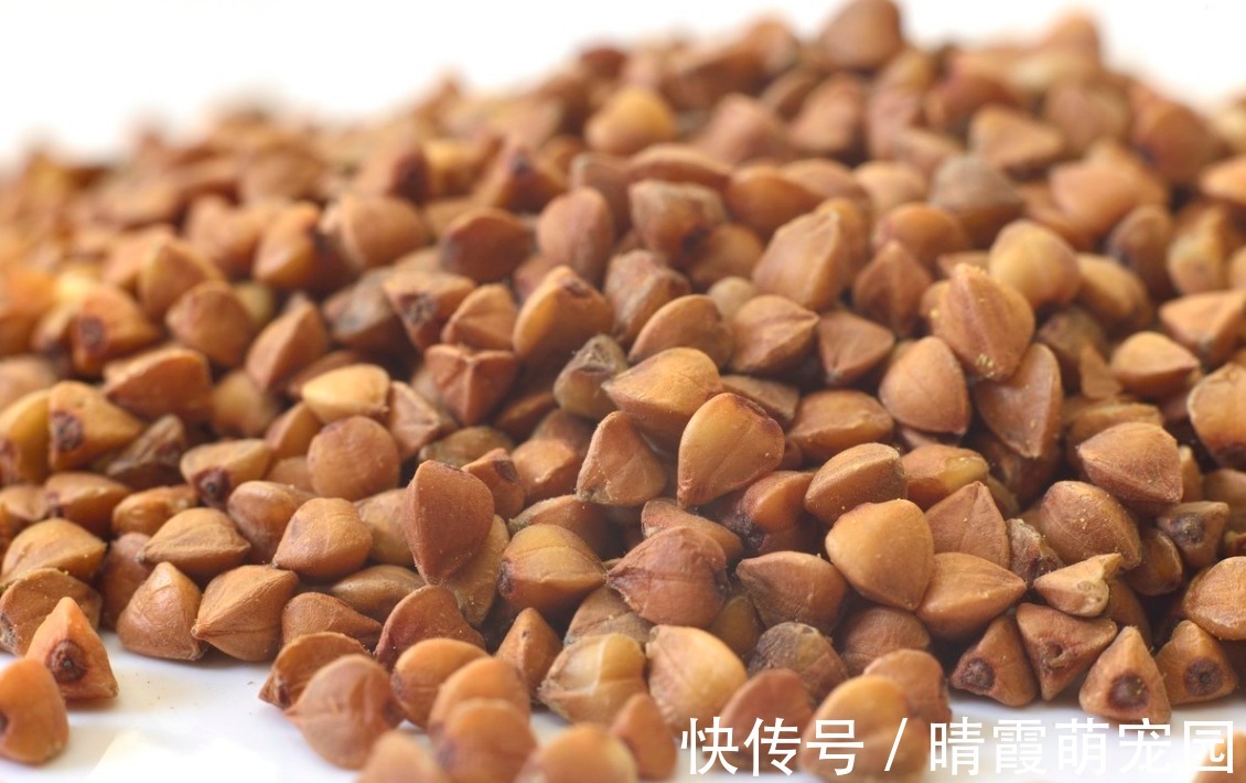 脂肪肝|高血脂降不下来?1简单小招,不到1个月,血脂就降了、血管干净