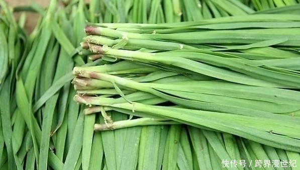 常吃韭菜的人,身体不会差,但切忌与一物同食