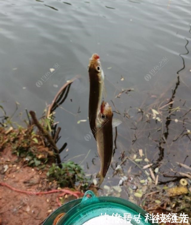 马扎|钓鱼的三个阶段,各位钓友你们现在处于哪个阶段