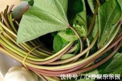 韭菜|夏季排毒的好时机,推荐常食以下食物,清肠排毒,好吃不长肉!