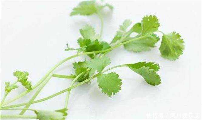 营养|人到中年想长寿,三种蔬菜要多吃,营养丰富,滋补身体,早吃早好