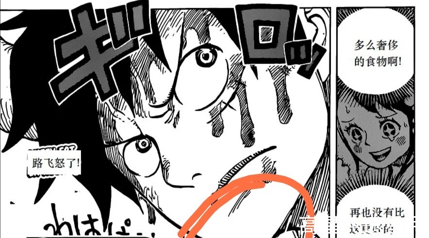 情报|海贼王979话中又透露出了重大情报信息。